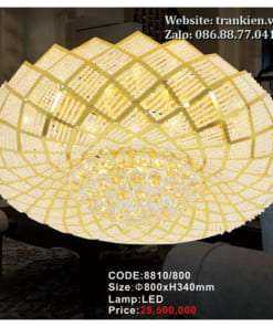 den-mam-pha-le-8810-800